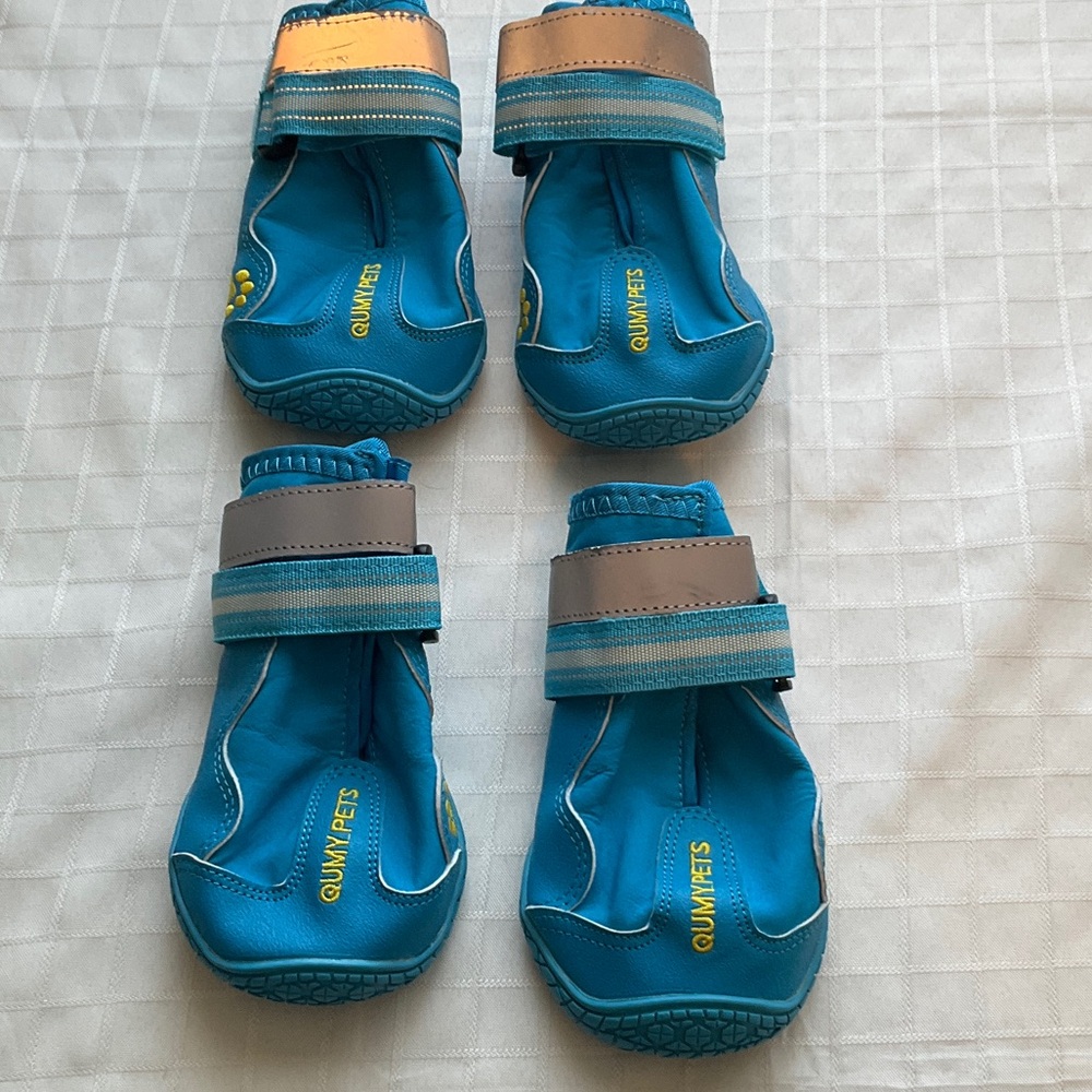 Blue Dog Shoes